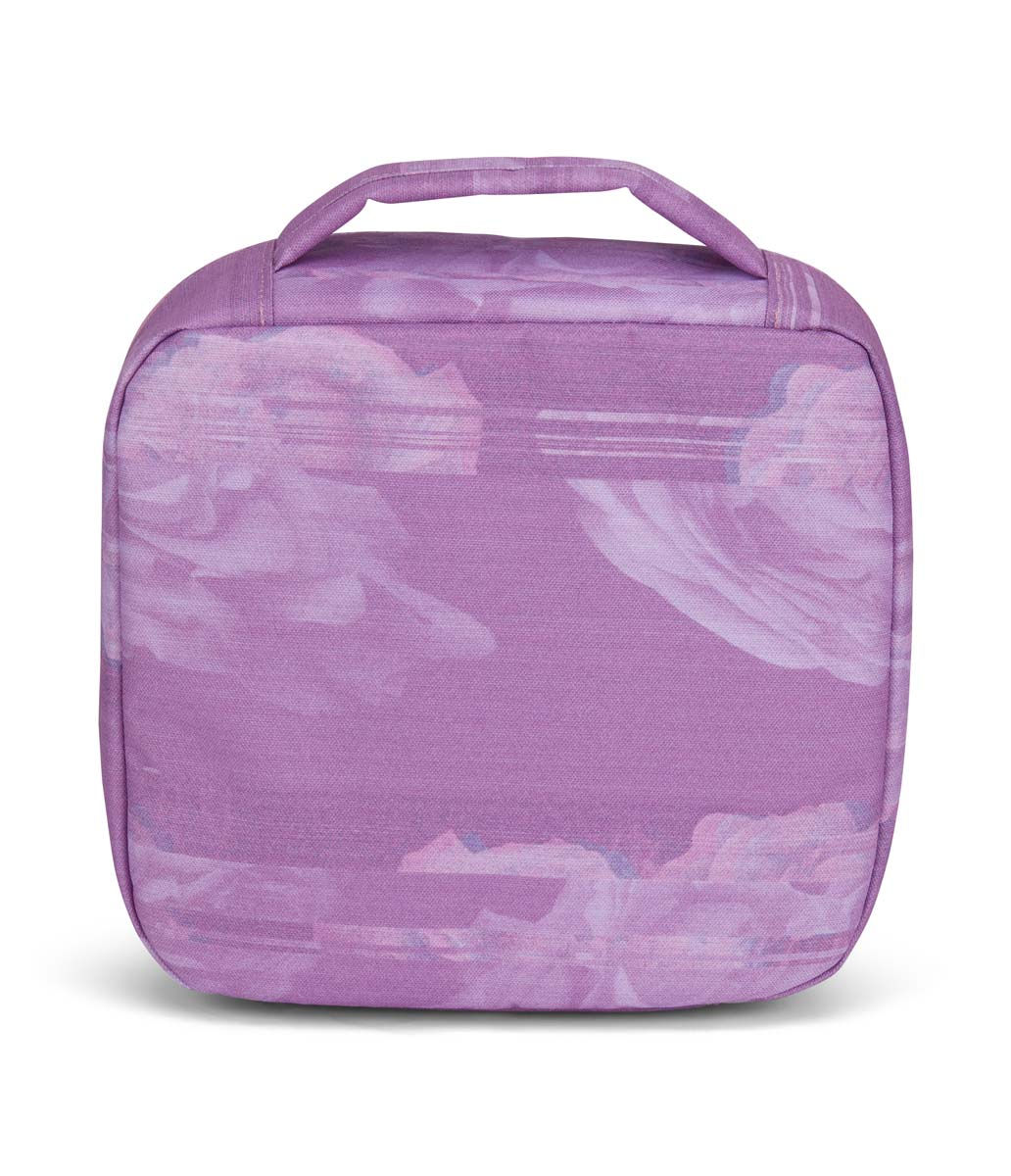 JANSPORT LUNCH BREAK STATIC ROSE